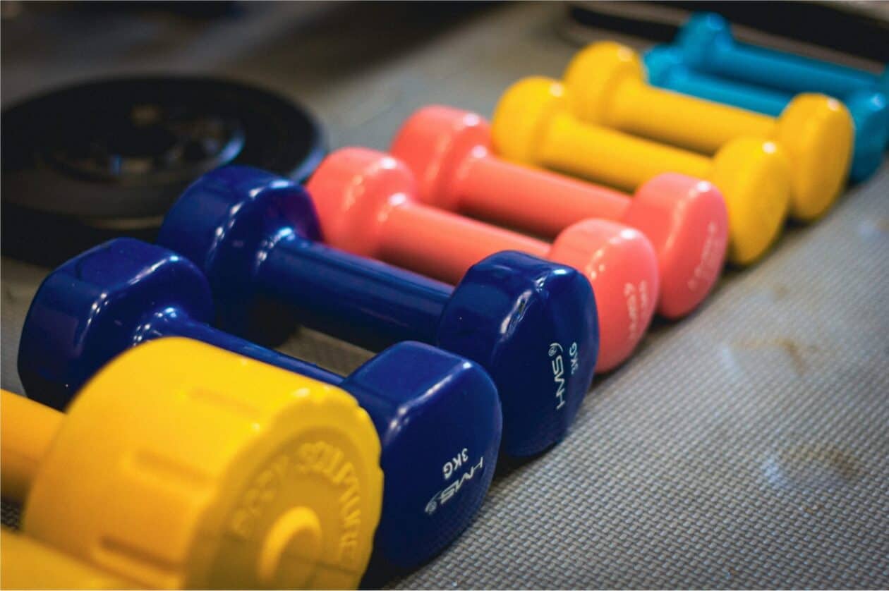 Studio Everfit